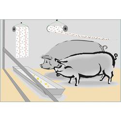 Redtop Fliegenrolle 31006 mucholapka lepicí fólie, feromon (d x š) 9 m x 0.3 m žlutá 1 ks