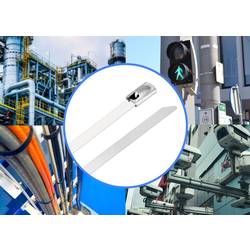 TRU COMPONENTS TC-12647564 TRU COMPONENTS TC-12647564 Ocelové stahovací pásky 360 mm 4.6 mm AISI 304 100 ks 360 mm 4.6 mm AISI 304 100 ks