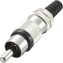 TRU COMPONENTS 719282 cinch konektor zástrčka, rovná Pólů: 2 černá 1 ks