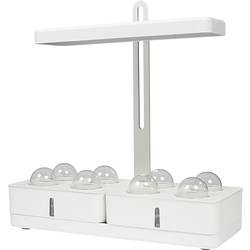LEDVANCE LED lampa na rostliny Indoor Garden KIT 450 WT 189 mm 230 V pevně vestavěné LED 20 W přírodní bílá 1 ks