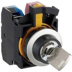 Idec CW4K-2AE20 CW Series klíčový spínač 300 V 10 A 2 x 45 ° IP65, IP66 1 ks