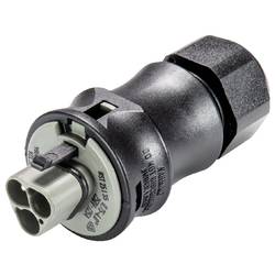 Wieland Electric 96.032.4154.3 konektor