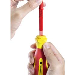 TOOLCRAFT 2236585 pro elektroniku a jemnou mechaniku, pro elektrotechniky, VDE, dílnu výměnné bity s rukojetí 18dílná plochý, vnější šestihran (TX), křížový