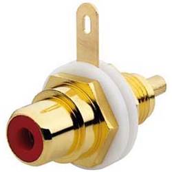 Rutenbeck 17000304 adaptér zásuvka, rovná 1 ks