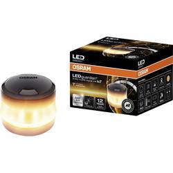 Osram Automotive LEDSL105 výstražné světlo blikající (d x š x v) 84 x 84 x 60 mm 1 ks