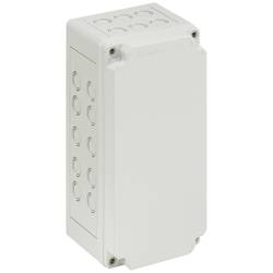 Spelsberg SVi L-g 59112001 univerzální pouzdro 150 x 300 x 137 plast 1 ks