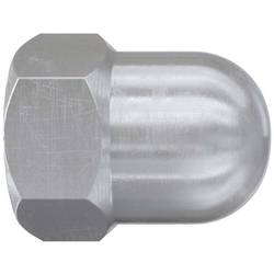Fischer FAZ II Plus M10 R 569127 kloboučková matice M10 ocel nerezové 20 ks