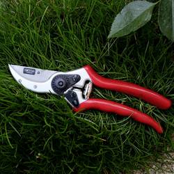 Siena Garden CG1020 nůžky na trávu 21.5 cm bypass