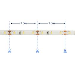 Sygonix SY-6612922 Kompletní sada LED pásku konektor 12 V/DC 5 m studená bílá 1 ks