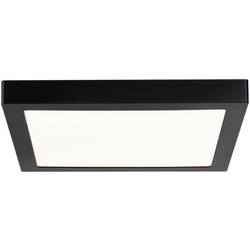Paulmann Abia 70985 LED panel 22 W teplá bílá černá (matná)