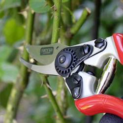 Siena Garden CG1060 nůžky na trávu 20.5 cm bypass