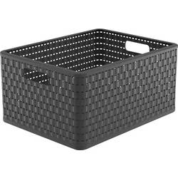 Rotho 1166808853 Úložný koš, (d x š x v) 43 x 33 x 21.5 cm, antracitová, 1 ks