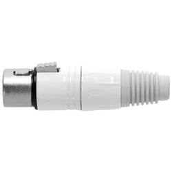 Adam Hall 4 STAR C XF3 SNOW XLR konektor - 1 ks