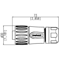 Amphenol C016 30D006 110 10 kulatý faston, 1 ks