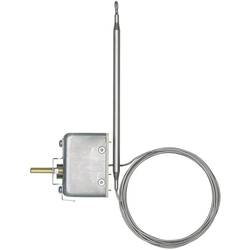 Jumo 60002085 regulátor teploty 20 do 500 °C relé 16 A
