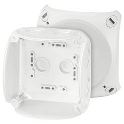 Hensel 62000045 rozbočovací krabice (d x š x v) 70 x 104 x 104 mm šedobílá (RAL 7035) IP66, IP67, IP69 1 ks