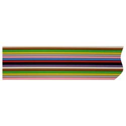 Rautronic FB1026127B plochý kabel Rastr (rozteč): 1.27 mm 10 x 0.14 mm² metrové zboží