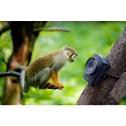 Technaxx TX-164 Časosběrná kamera