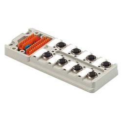 Weidmüller SAI-8-M 5P M12 UT 1701251000 pasivní box senzor/aktor rozdělovač M12 s kovovým závitem 2 ks