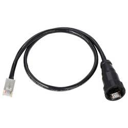 TRU COMPONENTS TC-13543628, RJ45 konektor, černá, 1 ks