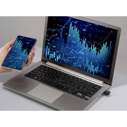 Renkforce RF-WFBTA-200 Wi-Fi/Bluetooth® adaptér USB 2.0 886 MBit/s