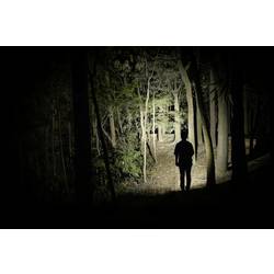 OLight 13002 LED mini kapesní svítilna s brašnou, s klipem na opasek napájeno akumulátorem 178 g