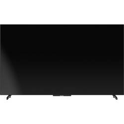 Panasonic OLED TV 139 cm 55 palec Energetická třída (EEK2021) F (A - G)