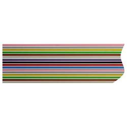 Rautronic FB1028127B plochý kabel Rastr (rozteč): 1.27 mm 10 x 0.09 mm² metrové zboží