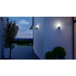 Steinel L605 M ANT 069506 venkovní nástěnné osvětlení LED žádná 11.3 W antracitová