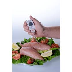 ebro TTX 110 vpichovací teploměr (HACCP), rozsah -50 do 350 °C, typ senzoru T