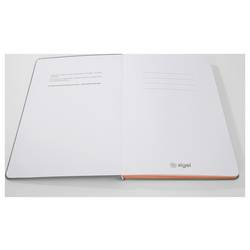 Sigel LS200 poznámková kniha Linescape Hardcover DIN A5 čtverečkovaný světle šedá, neonově oranžová Počet listů: 88 listů