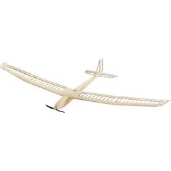 Pichler Modellbau Aion Segler RC model kluzáku stavebnice 2500 mm