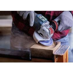 Bosch Accessories 2608901687 brusný kotouč 1 ks