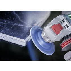 Bosch Accessories 2608901687 brusný kotouč 1 ks