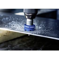 Bosch Accessories 2608901442 2608901442 vrtací korunka 65 mm osazen tvrdokovem 1 ks