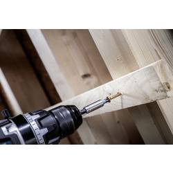 Bosch Accessories 2607012081 2607012081 sada bitů