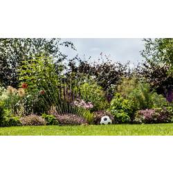 Bosch Home and Garden GardenPump 18 aku zahradní čerpadlo 540 l/h 1.8 m