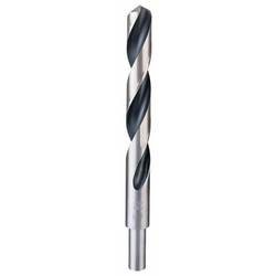 Bosch Accessories 2608577312 2608577312 HSS kovový spirálový vrták 17 mm Celková délka 184 mm DIN 338 válcová stopka 1 ks