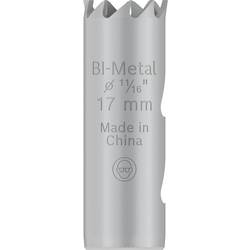 Bosch Accessories 2608901492 2608901492 vrtací korunka 17 mm 1 ks