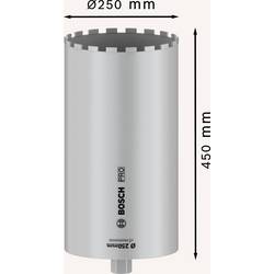 Bosch Accessories 2608601801 2608601801 vrtací korunka 250 mm diamantová vrstva 1 ks