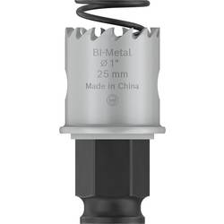 Bosch Accessories 2608594443 2608594443 vrtací korunka 25 mm silně legováno 1 ks