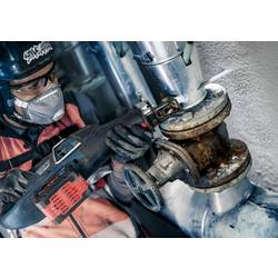Bosch Accessories 2608659001 Plátek šalové pily 2 ks
