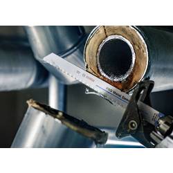 Bosch Accessories 2608659001 Plátek šalové pily 2 ks
