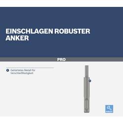 Bosch Accessories 1618600008 1618600008 1 ks