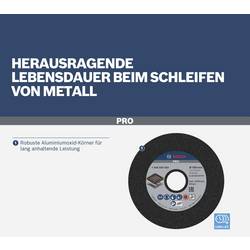 Bosch Accessories 1608600069 brusný kotouč Průměr 125 mm Zrnitost=24 1 ks