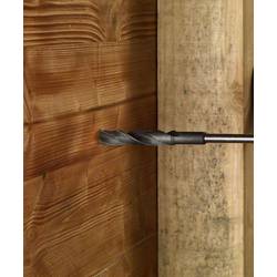 Bosch Accessories 2608596344 šalovací vrták 12 mm Celková délka 600 mm válcová stopka 1 ks