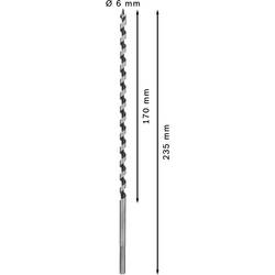 Bosch Accessories 2608597622 hadovitý vrták 6 mm Celková délka 235 mm šestihran 1 ks