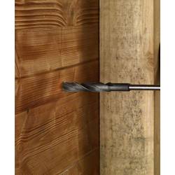 Bosch Accessories 2608597420 šalovací vrták 30 mm Celková délka 400 mm SDS plus 1 ks