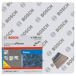 Bosch Accessories 2608603236 2608603236 diamantový řezný kotouč Průměr 125 mm Ø otvoru 22.23 mm kámen 10 ks