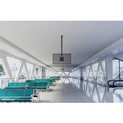 Neomounts CL35-340BL22 TV stropní držák stropní držák, 58,4 cm (23) - 106,7 cm (42), CL35-340BL22